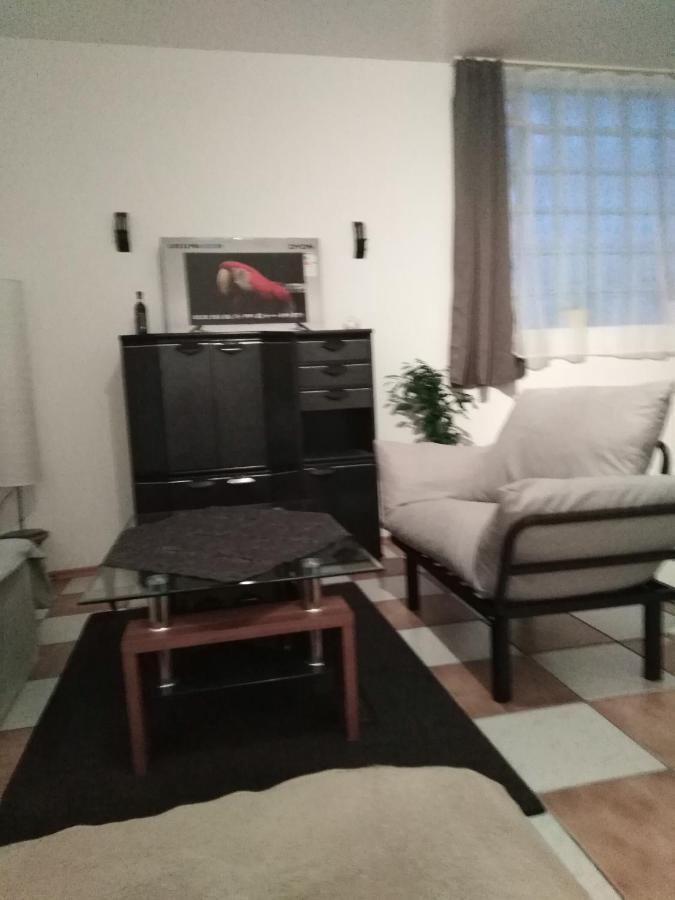 Studiowohnung, Neu Renoviert, Zentrale Lage Saarlouis Esterno foto