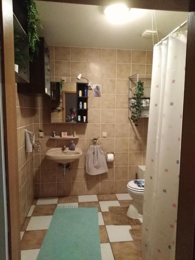 Studiowohnung, Neu Renoviert, Zentrale Lage Saarlouis Esterno foto